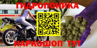 соль ск Лесосибирск