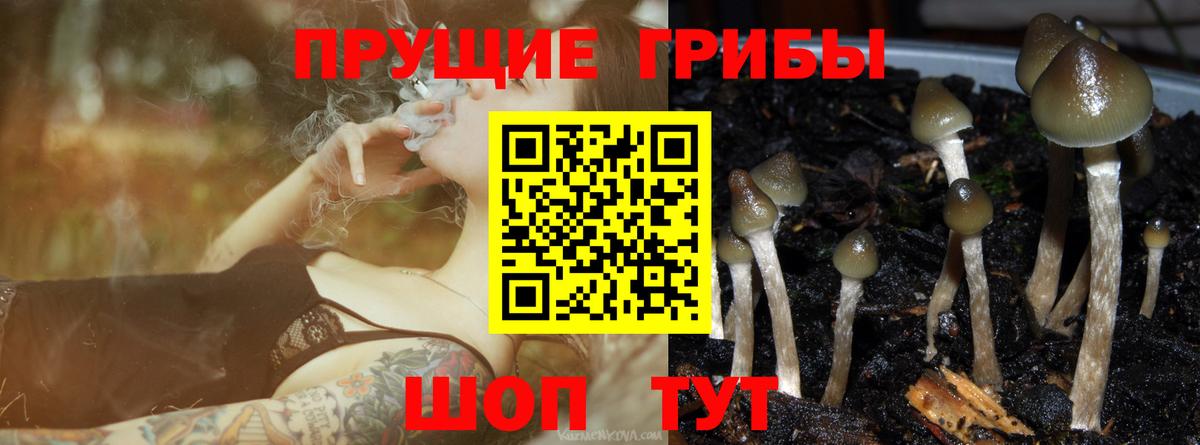 Галлюциногенные грибы GOLDEN TEACHER Джанкой